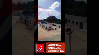 Centro de Vuelo Camajuaní. Hembras