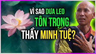 Vì sao Dưa Leo TÔN TRỌNG thầy Minh Tuệ? [Dưa Leo DBTT]