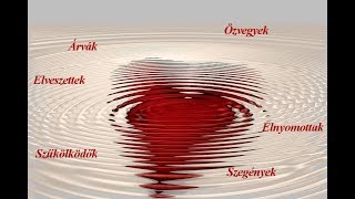 Derek Prince -  Árvák és özvegyek