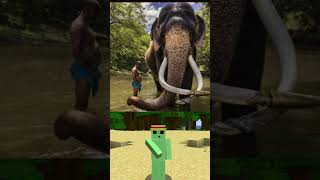 MAMUT BYL TAKTO OBŘÍ?!!😳 #extreme #extrémní #reakce  #YouTube #minecraft