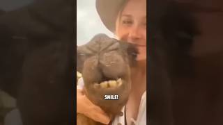 FUNNIEST VIDEOS ON THE INTERNET, PART 46 #funny #usafunnyvideo #funnyanimals