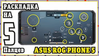 Раскладка и чувствительность экрана для ASUS ROG PHONE 5/5S TDM 90fps тест |PUBG MOBILE synSHAKH