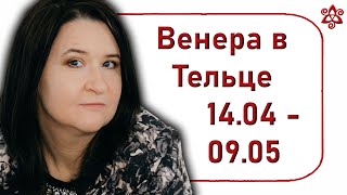 Гармония и стабильность: Венера в Тельце с 14 апреля по 9 мая 2021 | Елена Шувани