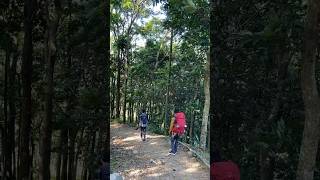 Turun dari bukit⛰️