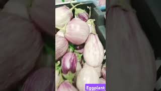 Harvesting big&round eggplant #shortfeed #shortsyoutube #fypシ #viral #shorts #harves #shortvideo