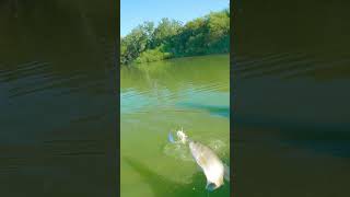 SECRET Bass Fishing Tip to CATCH more FISH!!