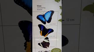 Butterfly الفراشات في اوروبا 🇳🇱🇪🇺🇱🇺🇩🇰#butterfly