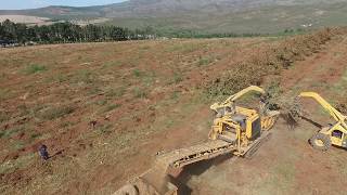 Orchard Removal & Recycling: Bandit Beast® 2680 in Vyeboom