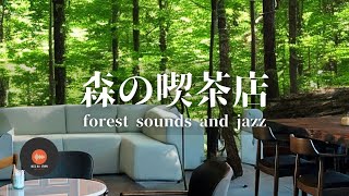 環境音+JAZZ 優しい森の喫茶店  川のせせらぎ 鳥のさえずり 森の中の音でリラックス 作業・勉強にも CAFE MUSIC - 作業用BGM☕