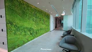 สวนแนวตั้งผนังมอสส์ขนาดใหญ่พิเศษ กว้างถึง6 เมตร ตกแต่งตึกปตท./Special Large Moss Wall width 6 m.@PTT