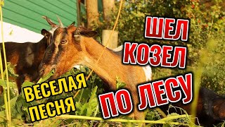 Шел козел по лесу. Детская песенка игра.