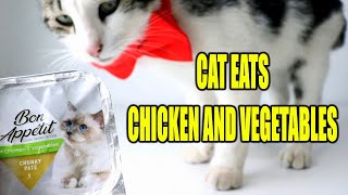 ASMR - Cat Eats Chicken & Vegetable Chunky Paté