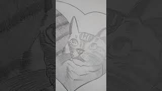 Pencil sketch of a cat #pencilsketch #shorts