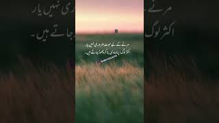 ROMANTIC URDU POETRY URDU SHAYARI SAD STATUS VIDEO 2023 #brokenheart #emotional