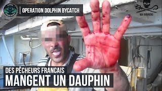 Des pêcheurs français mangent un dauphin