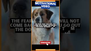 The greatest fear dogs know, Dog Motivational Video | #motivation #shorts