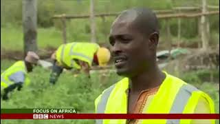 Vegetable Export From Ghana