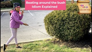 Beating around the bush idiom explained