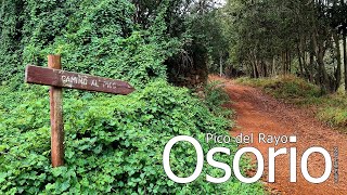 Circular OSORIO - PICO del RAYO (comentada)(noviembre 2021) #GranCanaria #Osorio #PicodelRayo