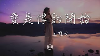 王理文 - 愛是恨的開始『發現原來愛就是恨的開始』【動態歌詞Lyrics】