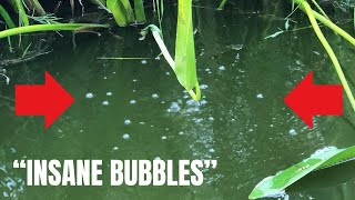 EXPLOSIVE FISH FIZZING BUBBLES on Mystery Club Water - What caused it to happen so many times