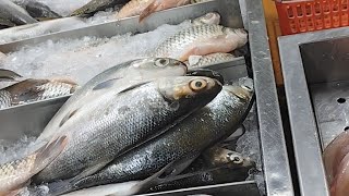 সিঙ্গাপুরের দেশি  বাজার | Singapore Fish & Meat Market