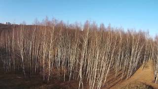 Полет DJI Phantom Vision 2 + (3)