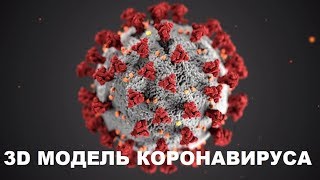 Дизайнеры создали 3D модель коронавируса