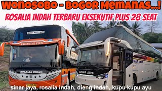 Panas‼️Rosalia Indah Jurusan Bogor Pakai Unit Baru, Eksekutif 28 seat 🔥 Kupu Kupu Ayu Coming Soon⁉️