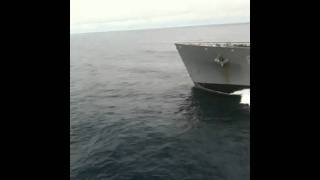 U.S. Navy Dolphins out at Sea! iPhone Blog