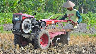 Dry Soil Tilling Tractor Preparing For Peanut Plantation