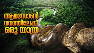 Journey to Amazon Forest | Amazon-The Biggest Rainforest in the World |ആമസോൺ വനത്തിലേക്ക് ഒരു യാത്ര