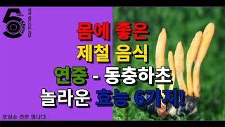 몸에 좋은 제철 음식 연중 - 동충하초 놀라운 효능 6가지!