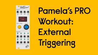 Pamela's PRO Workout: Trigger Modifier - Externally Triggering Envelopes & Random