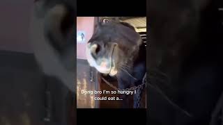 I'm so hungry I could eat a... | Tyn Vids #memes #memesdaily #memesvideo