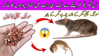 get rid of mouse | Chuhe baghane ka tarika | Rat killer trick | rat killer spray #kitchentips