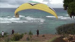 Paragliding   2D web