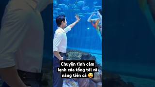 Chuyện tình cảm lạnh của tổng tài và nàng tiên cá #handsome #ngôntình #tongtai #traideptiktok