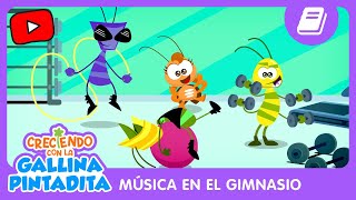 Creciendo con la Gallina Pintadita | Música en el Gimnasio