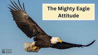 The Mighty Eagle Attitude｜Mind Engineering｜Motivation