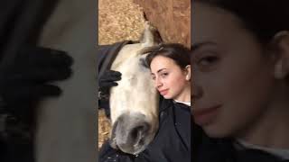 Horse Falls Asleep On Human! #shorts