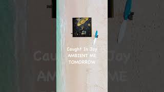 Calming peaceful ambient music #ambientchillout