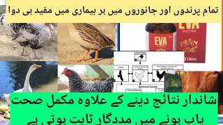 Tylocin inj with GX for Chickens|Electrolytes for Poultry Birds inSummerMonths Dr. ASIF