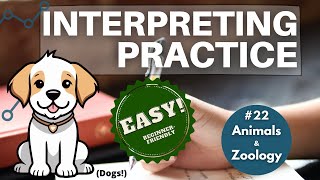 Interpreting Training: EASY Consecutive/Simultaneous Practice For Beginners - Dogs & Humans