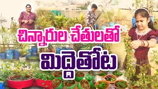 పిల్లలు పెంచుతున్న స్పెషల్ గార్డెన్ | Children Terrace Garden | Sumalatha