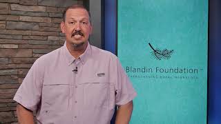 Community Matters - Blandin Foundation