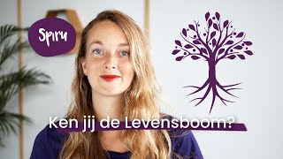 #83 Levensboom Betekenis, Ken jij dit Tree of Life Symbool?