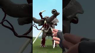 who is strongest? ALL ZOONOMALY VS ZOOCHOSIS ANIMALS MUTATED in Garry's Mod!