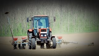 Napraforgó vetés/Sunflower/sowing 🌻 MTZ 552-SPC 6  /2020/