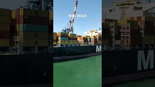 MSC DEILA #msc #cargoship #msccargo #short #genoaitaly #italy